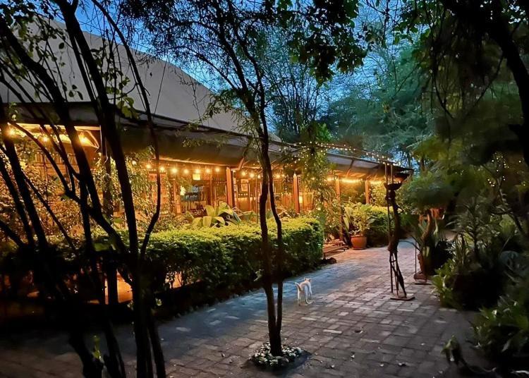 Ikweta Safari Camp Hotel Maua Ngoại thất bức ảnh
