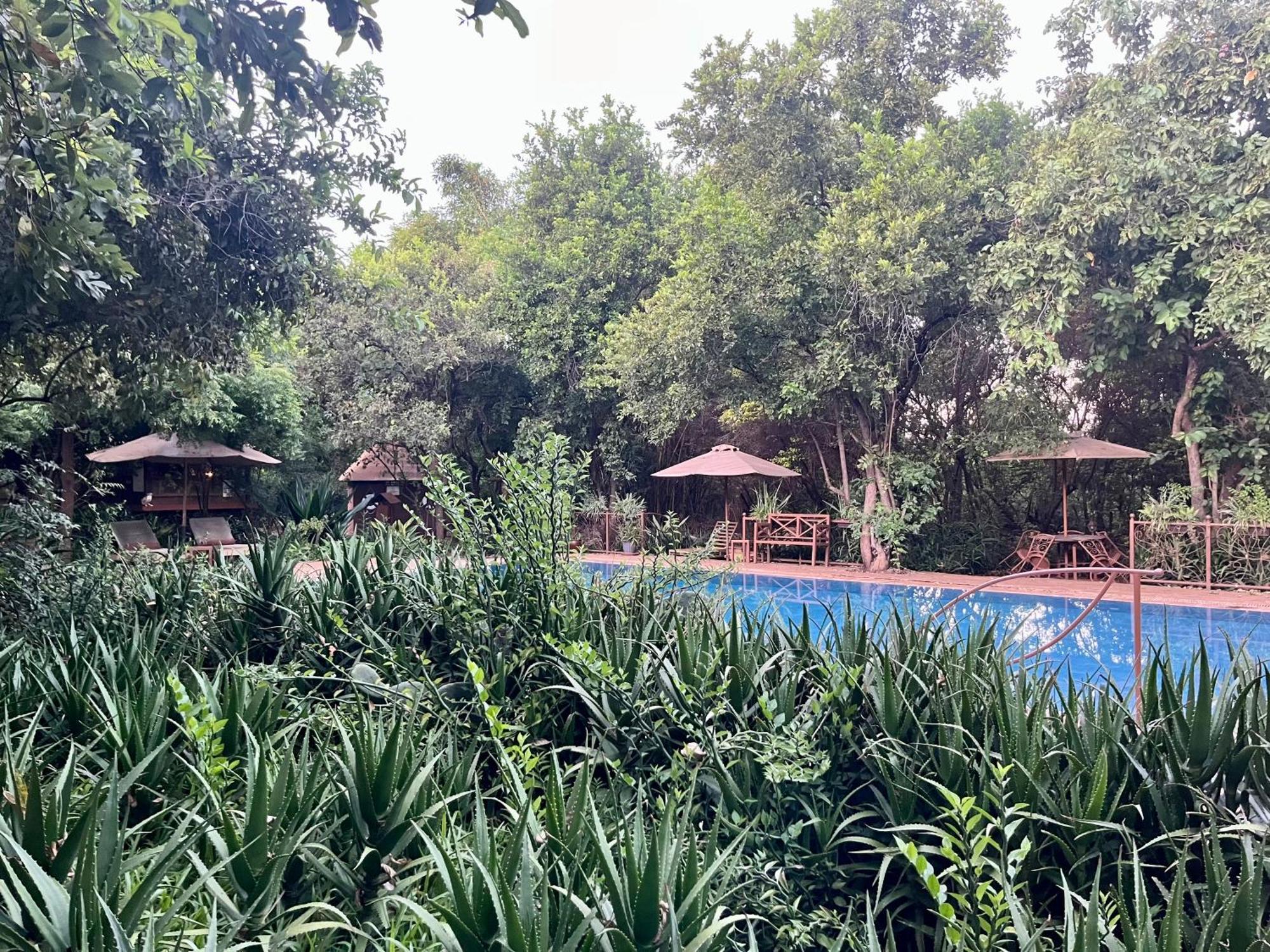 Ikweta Safari Camp Hotel Maua Ngoại thất bức ảnh