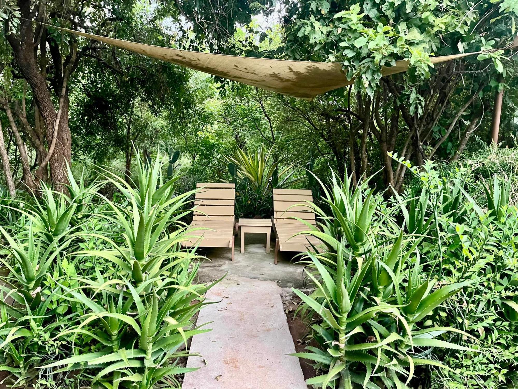 Ikweta Safari Camp Hotel Maua Ngoại thất bức ảnh