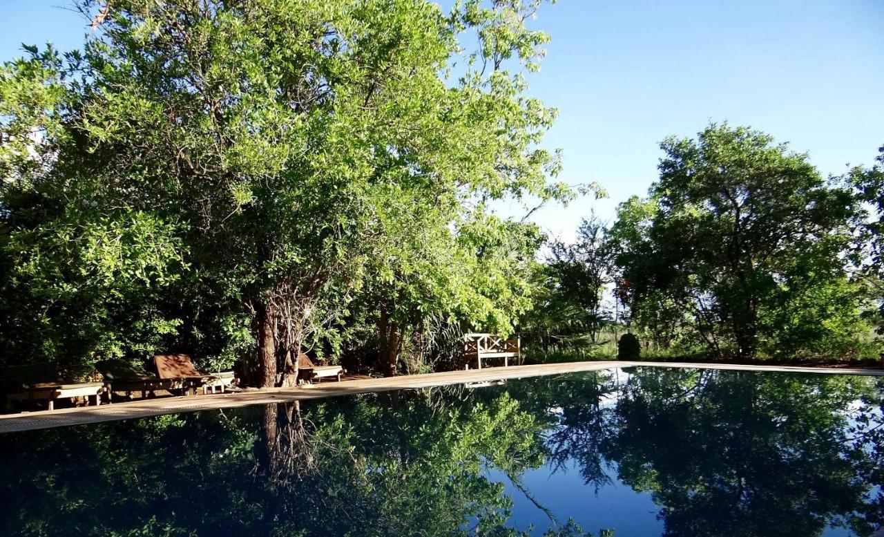 Ikweta Safari Camp Hotel Maua Ngoại thất bức ảnh